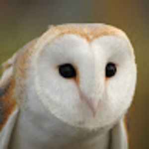 Meet your Posher, Valentina josé